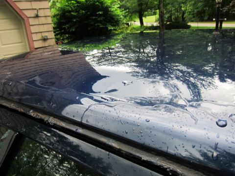 1991 Ford LTD Crown Victoria - Water beads on the roof of a car, reflecting the surrounding trees and garage.