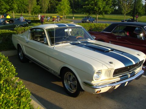 2007 Ford Mustang - Classic white 1965 Ford Mustang GT350 with dual blue racing stripes on hood and roof.