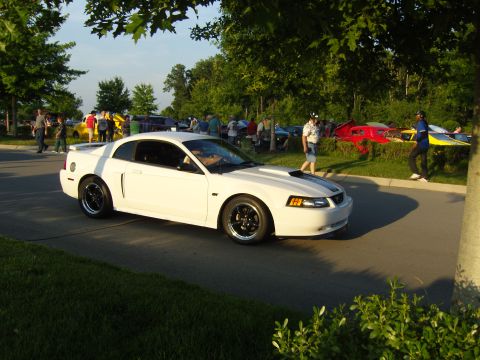 2007 Ford Mustang - A white Ford Mustang is parked at an outdoor car show with other vehicles and people in the background.