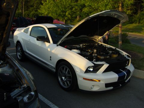 2007 Ford Mustang - White 2007 Ford Mustang Shelby GT500 parked with hood open, engine exposed. Another vehicle is in the foreground.