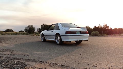 1989 Ford Mustang - A white Ford Mustang GT is seen from the rear on a dusty road with scrub brush and trees in the background.