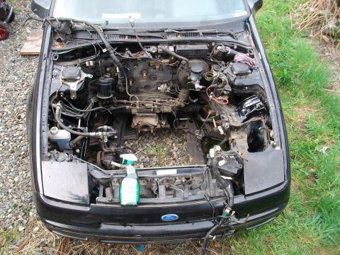1989 Ford Probe - The engine bay of a black car, stripped down to show internal components and wiring, with a cleaning spray bottle visible.