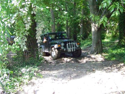 1985 Ford Bronco - A black Jeep Wrangler navigates a muddy, wooded trail, with another vehicle partially visible in the background.