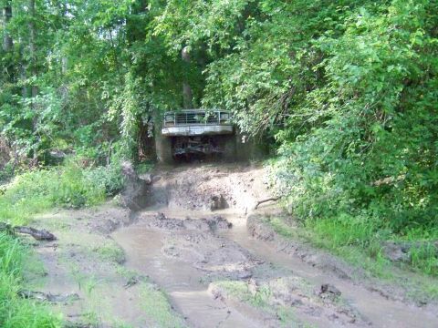 1985 Ford Bronco - A white Ford Bronco navigates a muddy trail surrounded by dense foliage.