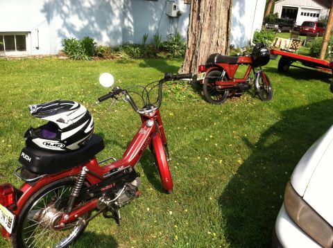 1981 Garelli Rally Sport - Two vintage mopeds sit in a grassy yard next to a tree, with a house and garage in the background.