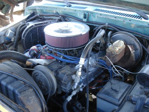 1979 Ford Bronco photo
