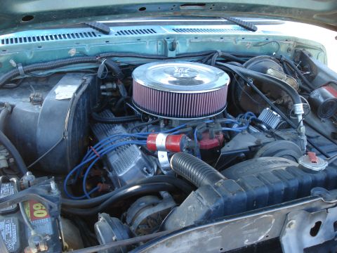1979 Ford Bronco photo