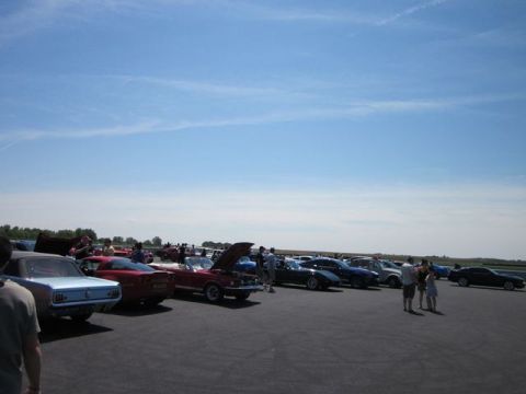 1991 Ford LTD Crown Victoria - A variety of classic cars are displayed outdoors on a sunny day, with spectators milling around.