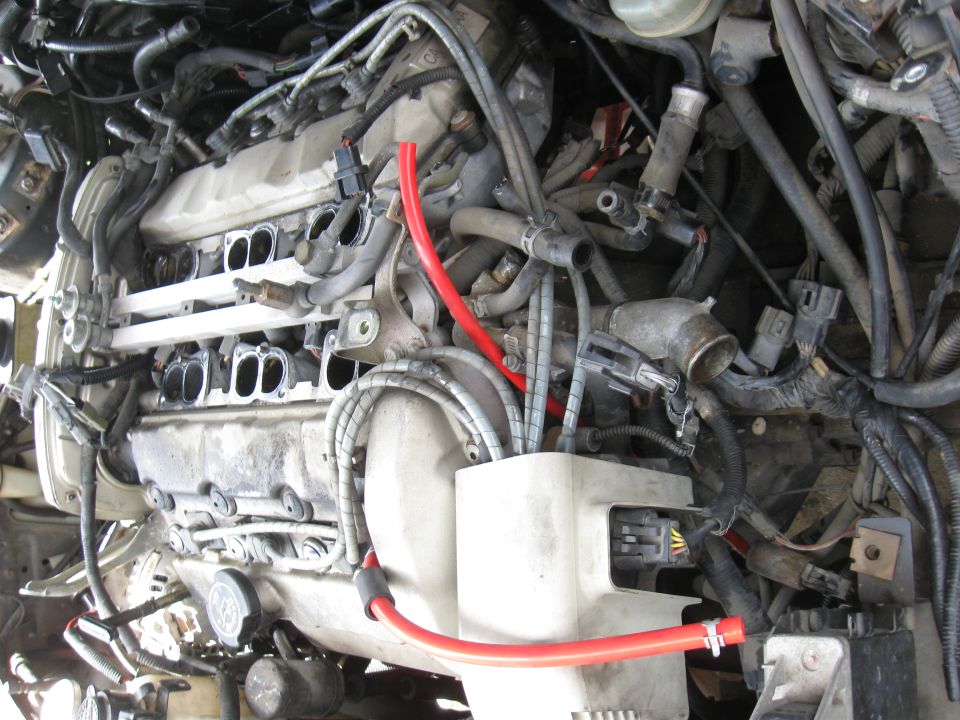 Engine bay with red hoses and complex wiring
