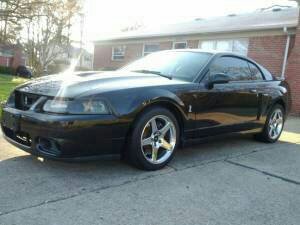 1982 Ford Bronco - This 2001 Ford Mustang Cobra is parked outside a brick house.