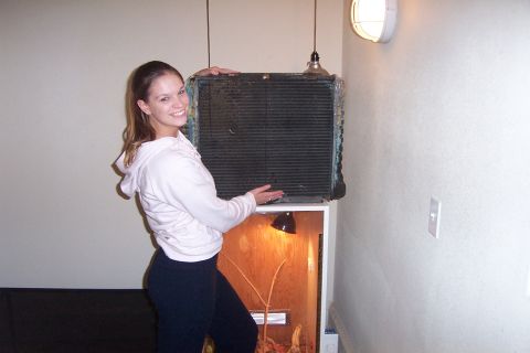1980 Ford Bronco - Woman holds a car radiator, possibly for a 1980 Ford Bronco, with a terrarium underneath.