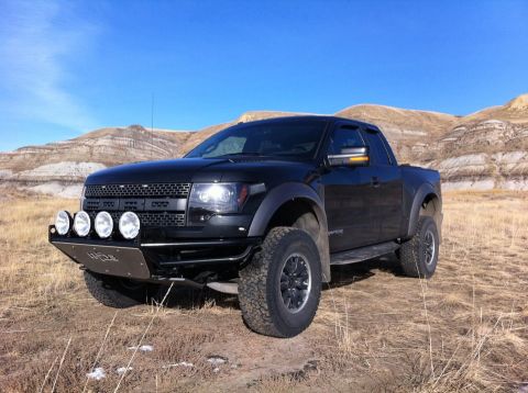 2010 Ford F-150 photo