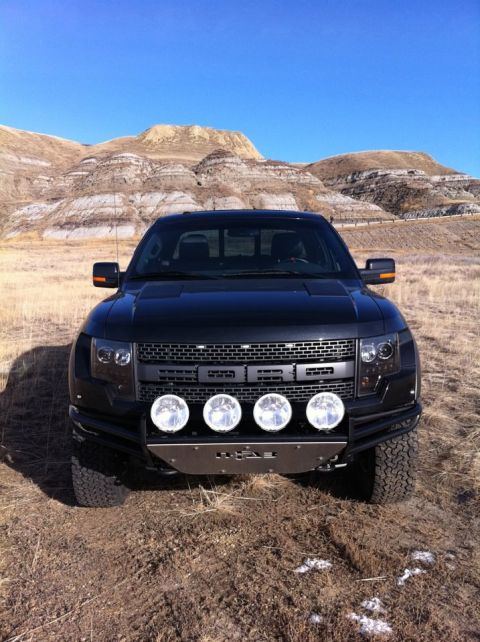 2010 Ford F-150 photo