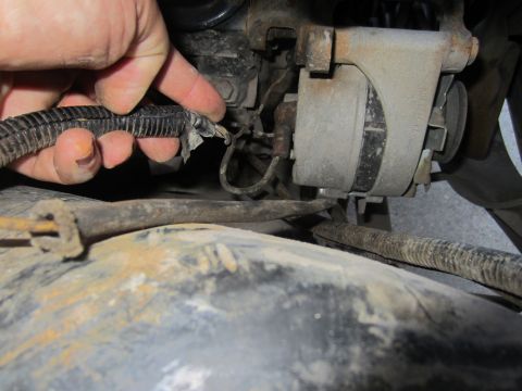 1982 Ford Bronco - A hand points to frayed wires on a vehicle's wiring harness, likely near the alternator.