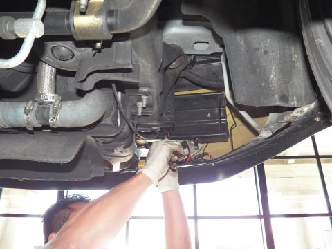2003 Ford Crown Victoria - Hands join leads beneath a black housing flanked by clamped coolant hoses on a lifted vehicle