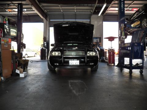 2003 Ford Crown Victoria - Black Crown Victoria with brush guard, hood raised, centered in a dim shop bay