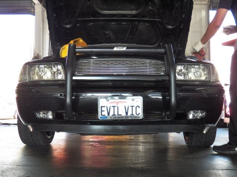 2003 Ford Crown Victoria - Black Crown Victoria photographed low and head-on, push bar and EVIL VIC plate centered