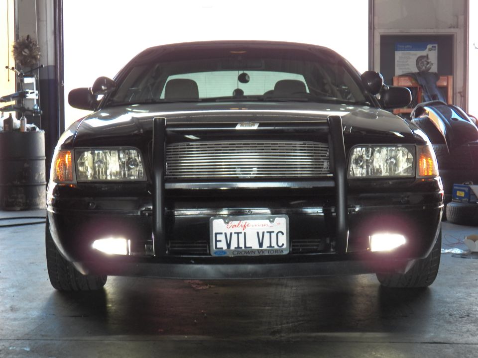 Black Ford Crown Victoria front with push bar fog lights and EVIL VIC plate