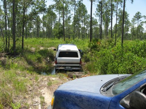 1994 Ford Bronco - A 1994 Ford Bronco navigates a challenging off-road path in a forest setting.