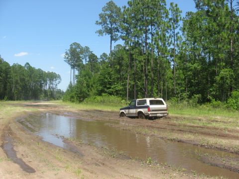 1994 Ford Bronco - A white and blue Ford Bronco is stuck in a muddy puddle on a dirt road surrounded by trees.