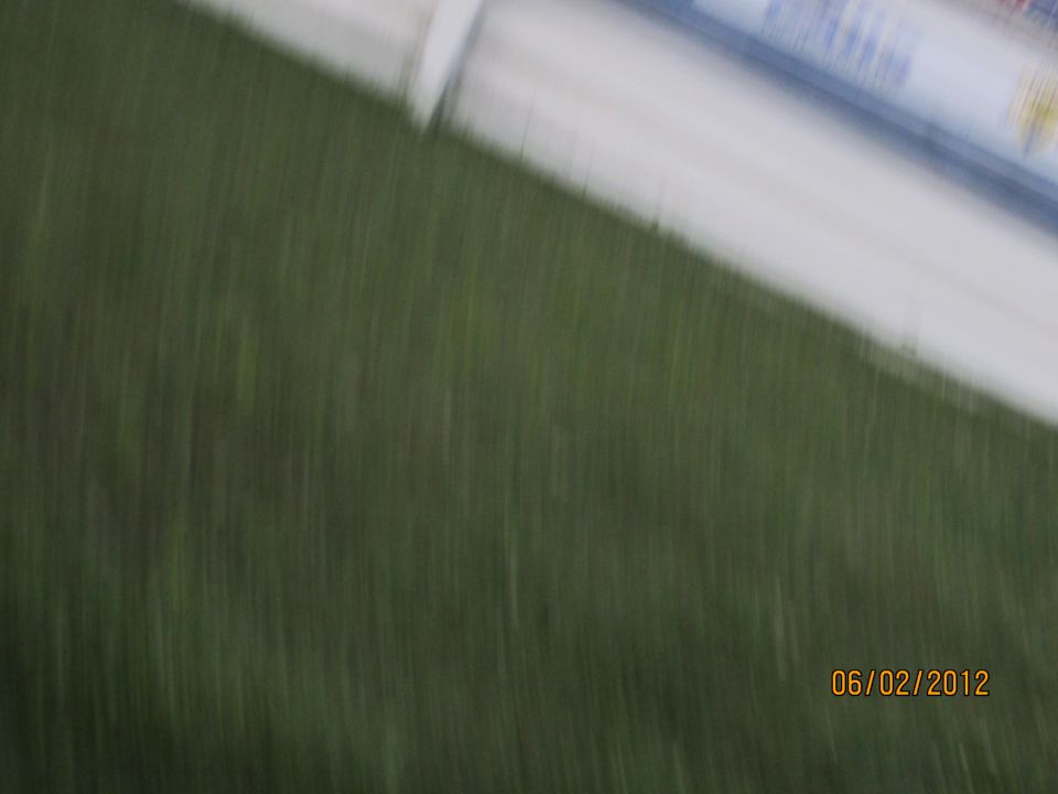 Blurry grass with a white stripe and blue text, dated 06/02/2012