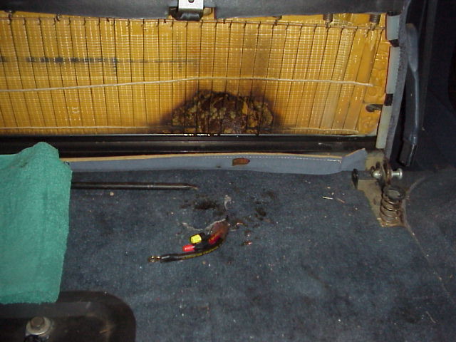 Interior of a car showing a damaged seat cushion with exposed yellow foam and springs, and debris on the blue carpet