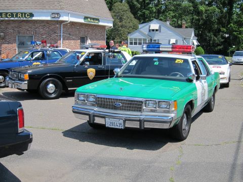 1991 Ford LTD Crown Victoria - green-and-white Ford police sedan marked 251 parked with other cruisers outside a brick building.