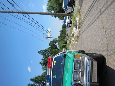 1991 Ford LTD Crown Victoria - front end of a green-and-white vintage police car marked 251 with a light bar, parked roadside as a cruiser approaches.