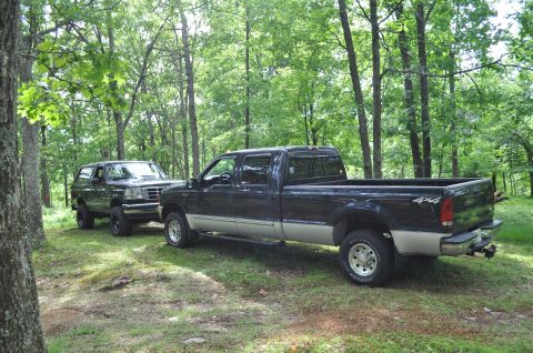 1995 Ford Bronco - Two Ford vehicles, a Bronco and a pickup truck, are parked on a grassy area surrounded by trees.