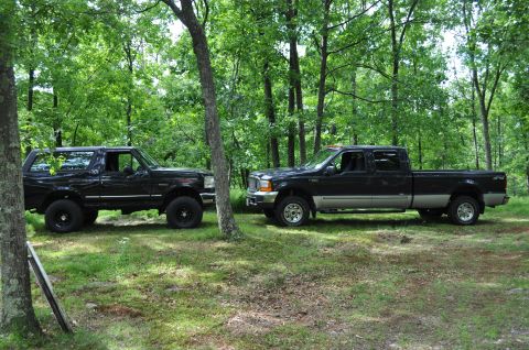 1995 Ford Bronco - Two Ford trucks, a Bronco and a Super Duty F-250, are parked in a grassy, wooded area.
