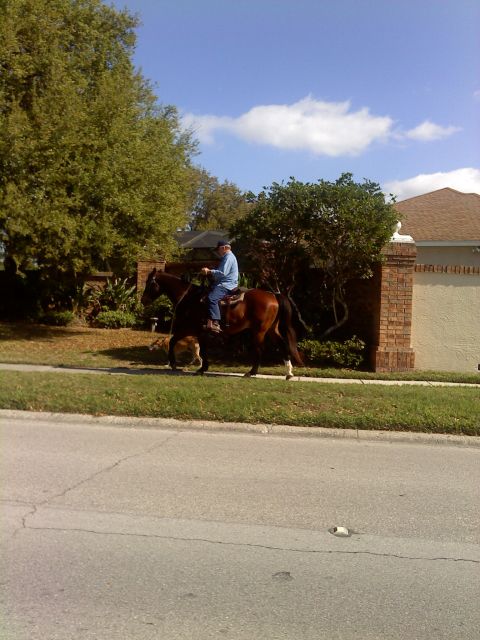1999 Ford Ranger - A man rides a horse down a suburban sidewalk next to a brick wall and manicured lawn.