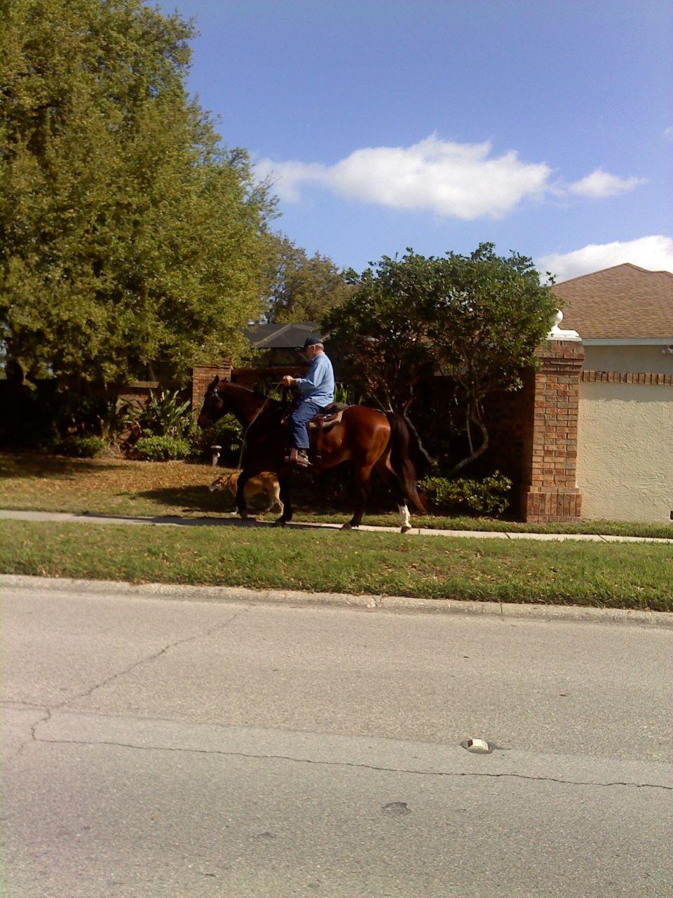Man riding a brown horse on a sidewalk