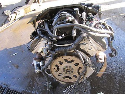 1999 Ford Ranger - Engine assembly removed from a vehicle, showing the flywheel and various hoses.
