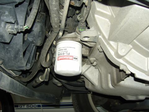 2007 Ford Mustang - Close-up of a Motorcraft oil filter installed on a Ford Mustang GT500 engine.