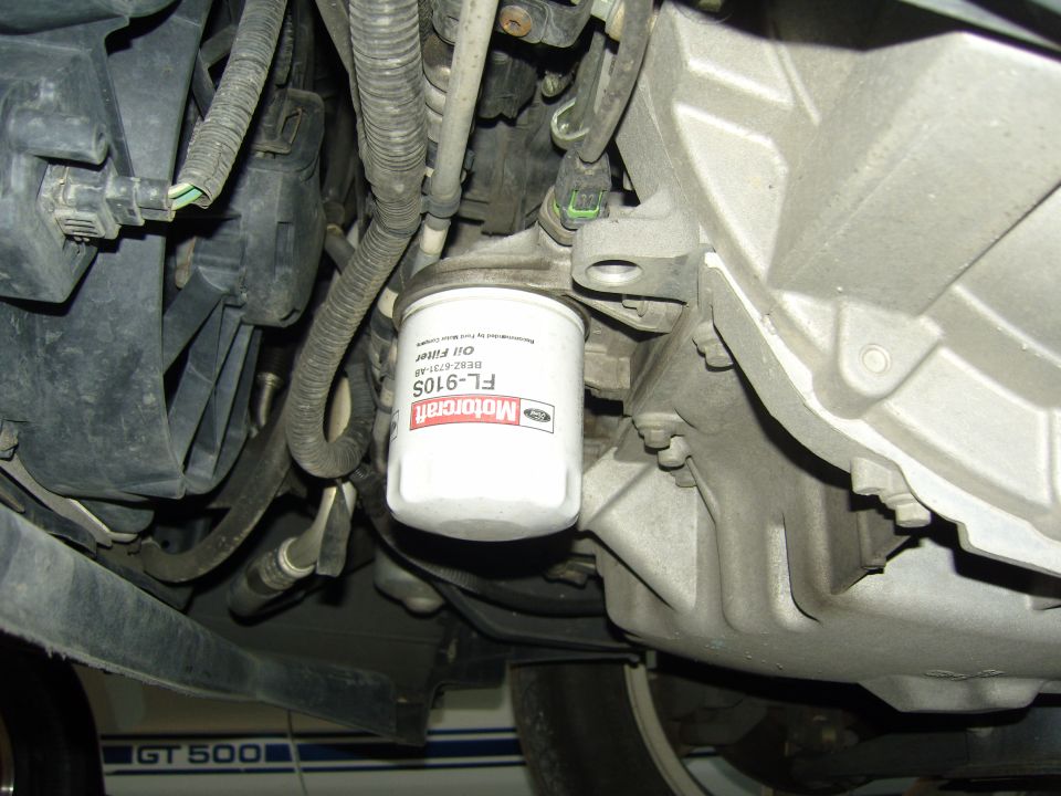 Motorcraft FL-910S oil filter on a Ford Mustang GT500 engine