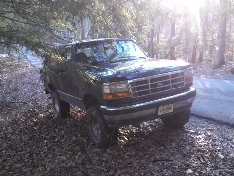1995 Ford Bronco - A black 1995 Ford Bronco is parked on a leaf-strewn path, partially obscured by tree branches, with sunlight filtering through the trees.