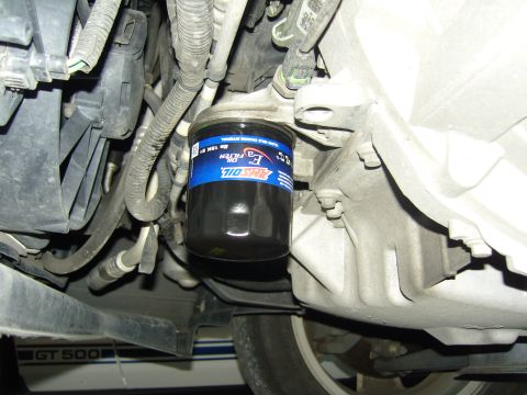 2007 Ford Mustang - Close-up of an AMSOIL oil filter mounted on an engine, with part of the GT 500 trim visible.