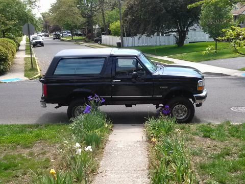 1995 Ford Bronco - Side view of a black 1995 Ford Bronco parked on a suburban street.