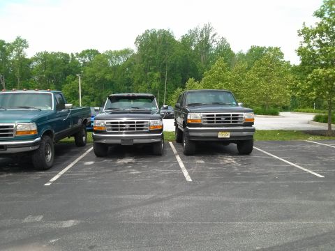 1995 Ford Bronco - Two Ford Broncos and a Ford F-Series truck are parked in a lot on a sunny day.