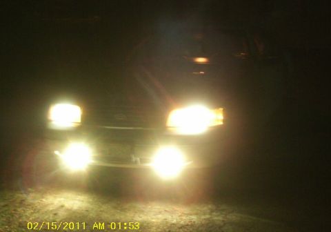 1998 Ford Crown Victoria - Front view of a 1998 Ford Crown Victoria at night with its headlights illuminated.