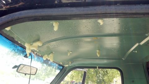1995 Ford Bronco - Foam sealant applied to the interior headliner of a vehicle, with visible drip marks.