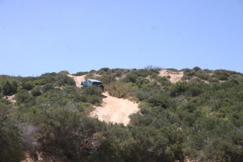 1991 Ford Bronco - SUV navigates a sandy trail amidst coastal scrub under a clear blue sky.