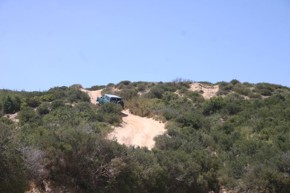 Green SUV driving on a dirt path up a sandy hill with scrub brush and blue sky