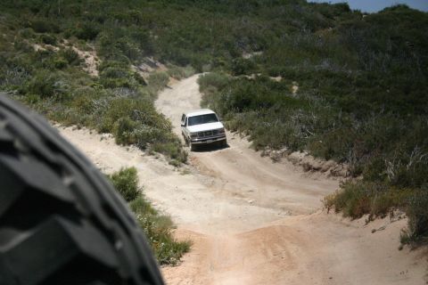 1991 Ford Bronco - White 1991 Ford Bronco navigates an off-road trail through a dry, brush-covered landscape.