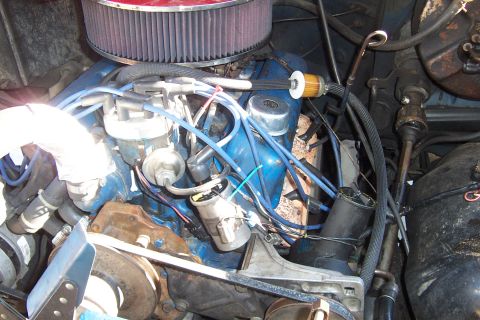 1980 Ford Bronco - Close-up view of a blue Ford V8 engine, showing the distributor, spark plug wires, and air filter assembly.