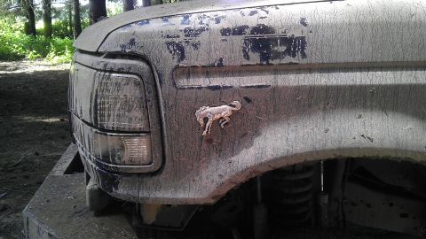 1995 Ford Bronco - Mud-splattered 1995 Ford Bronco shows its iconic running horse emblem on the front fender.