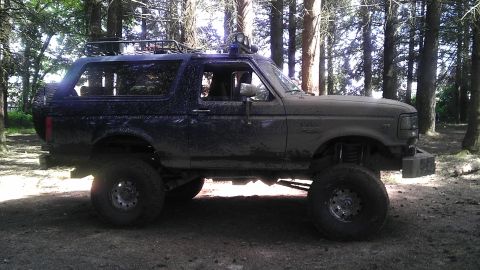 1995 Ford Bronco - This lifted Ford Bronco is parked in a wooded area, showing its off-road modifications.