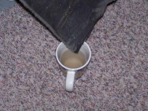 1995 Ford Bronco - A carpet sample is being tested by dipping it into a mug of liquid.