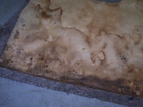 1995 Ford Bronco - This image shows a stained and worn bed liner, possibly from a 1995 Ford Bronco, with visible water damage and mildew.