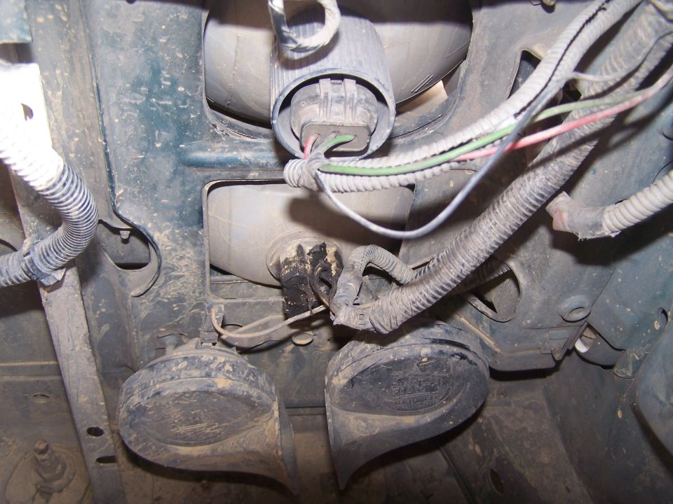 Vehicle horns and wiring harness